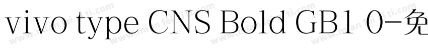 vivo type CNS Bold GB1 0字体转换